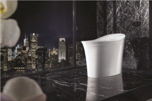 Produk Toilet Kohler Bertekhnologi