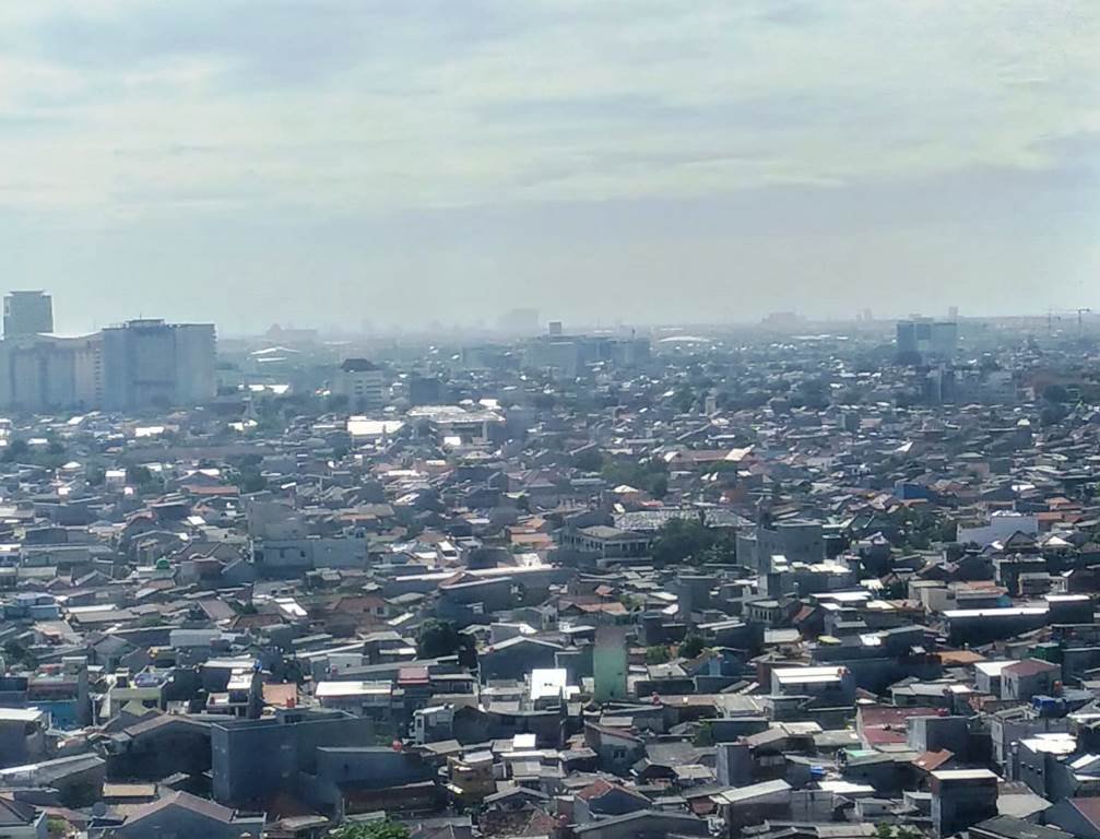 mafia tanah