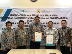 program bsps