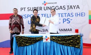 telur