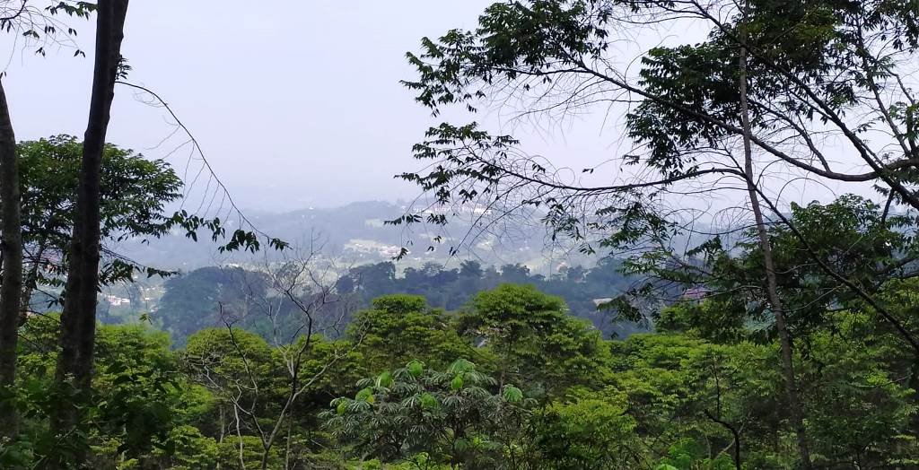 Ekonomi hijau