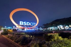 BSDE